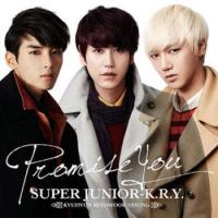 [Lirik] Promise You By Super Junior KRY